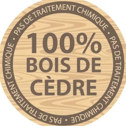 Aire de jeux en bois de cèdre pour 9 enfants Grayson Peak de Backyard