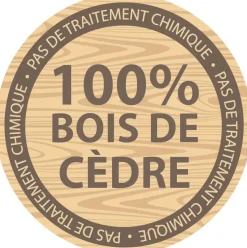 Aire de jeux en bois enfant Hill Crest - Backyard