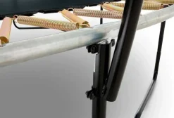 Trampoline 380 cm gris BERG Champion et filet + Echelle offerte