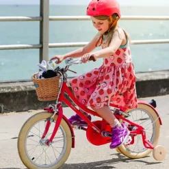 Vélo enfant 16 pouces bleu Gingersnap Bobbin