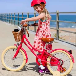 Vélo enfant 16 pouces bleu Gingersnap Bobbin